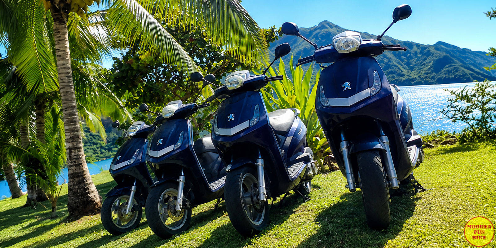 Location de scooter à Moorea Location de scooter à Moorea