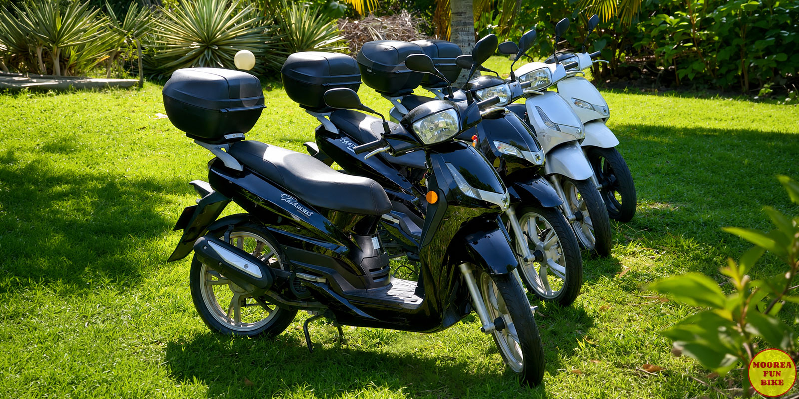 Location de scooter à Moorea Location de scooter à Moorea